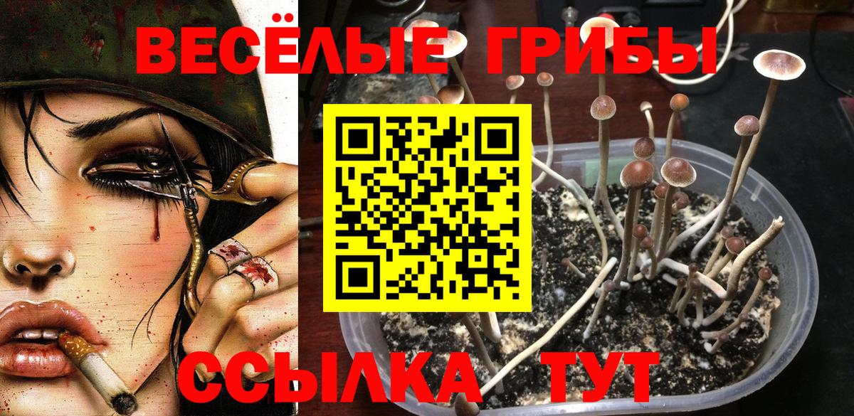 Псилоцибиновые грибы MAGIC MUSHROOMS Электрогорск