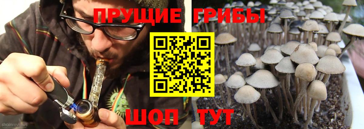 продажа наркотиков  Псилоцибиновые грибы прущие грибы  Вход с VPN  Электрогорск 